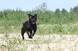 STAFFIE 031